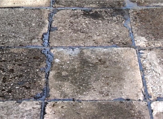 Image1