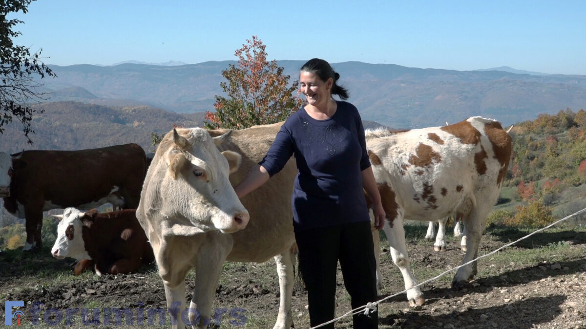 Selma Hajdarević iz Kaćeva: stočarstvo je težak posao, glavni pokretač mi je ljubav prema životinjama