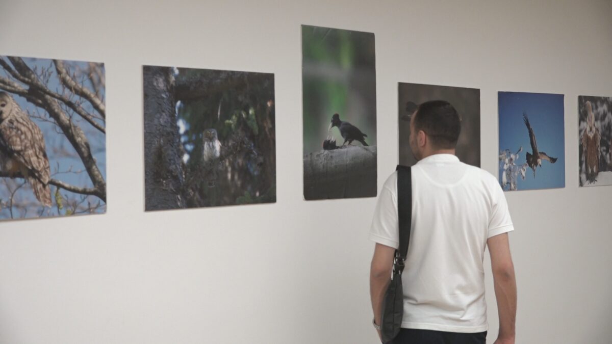 Изложба фотографија “Чуда стазе Ху” – Пријепоље представљају дивље лепоте Јадовника