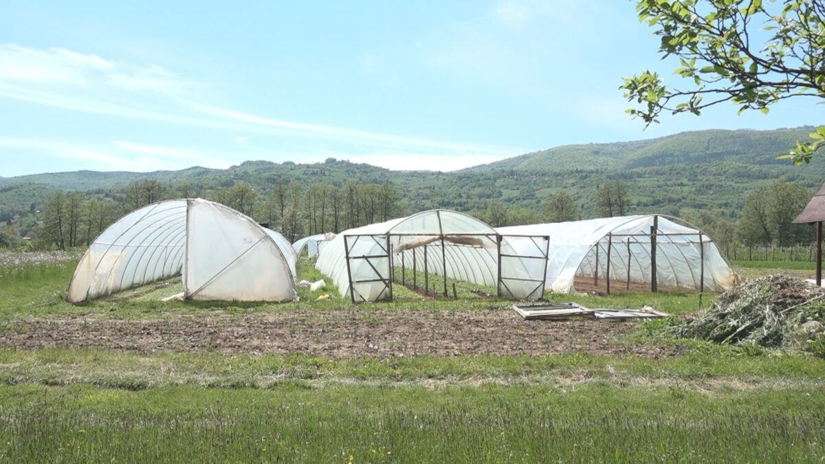 Пријаве за конкурс за развој пластеничке производње у Пријепољу до 1. априла