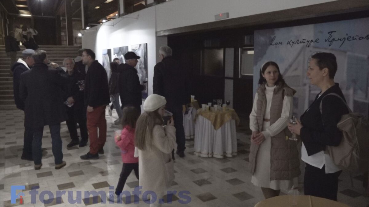 Изложба „Стикс“ Јелене Шалинић Терзић у пријепољском Дому културе