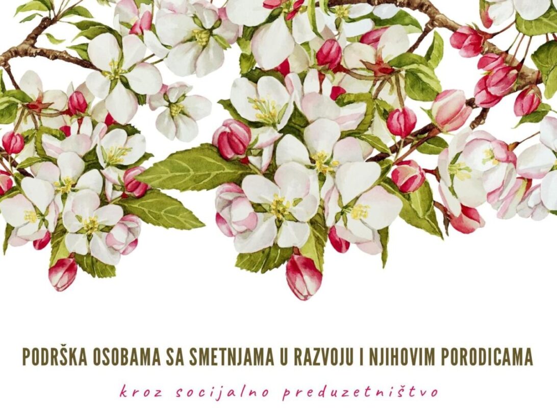 Разговор у Новој Вароши – који су изазови особа са сметњама у развоју?