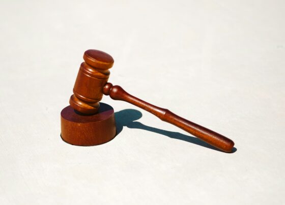 ФОТО: Unsplash / Тingey Injury Law Firm