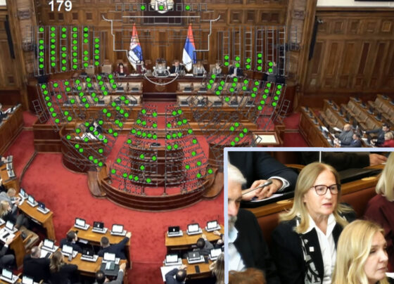 FOTO: Screenshot / You Tube "ParlamentSrbija"