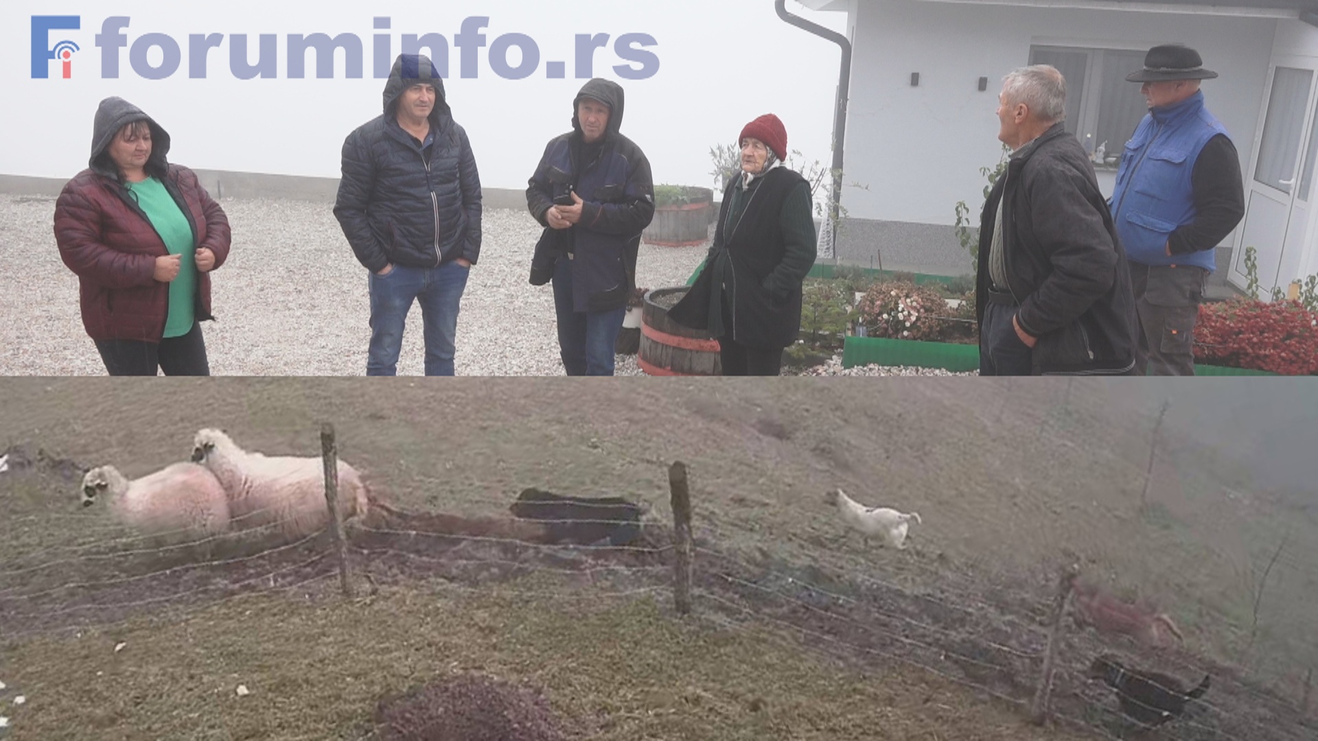 Хисарџик: Огромна штета због напуштених паса, мештани апелују на надлежне